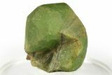 Green Olivine Peridot Crystal - Pakistan #266974-1